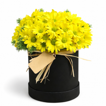 Kutuda Sarı Krizantemler